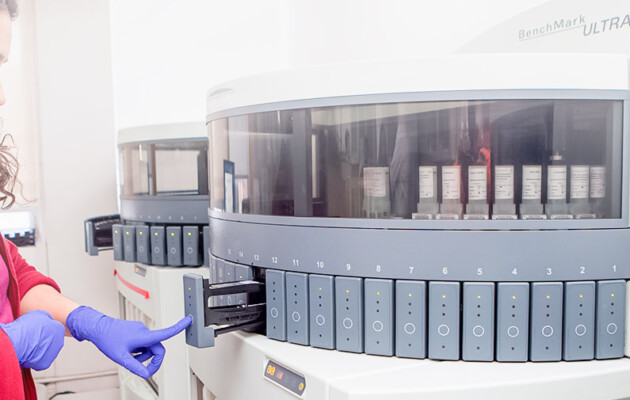 Innovación y atención personalizada