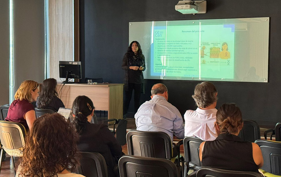 Imagen principal (placeholder)